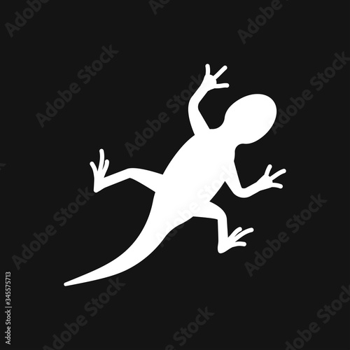 Vector Lizard icon on white background  Vector gecko