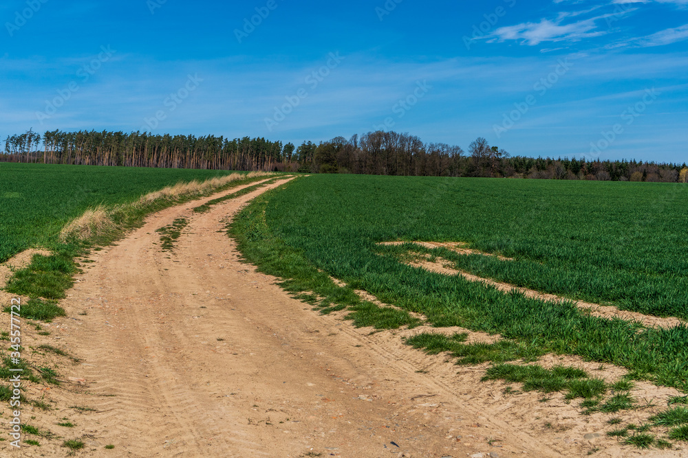 dirt road through a green field with trees in the background and clouds in the sky on a sunny day