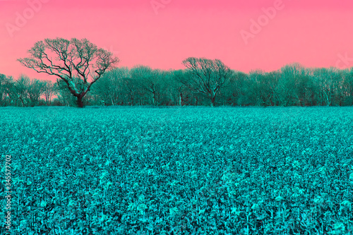 Alternative reality. Surreal pink sky landscape in AI vision photo