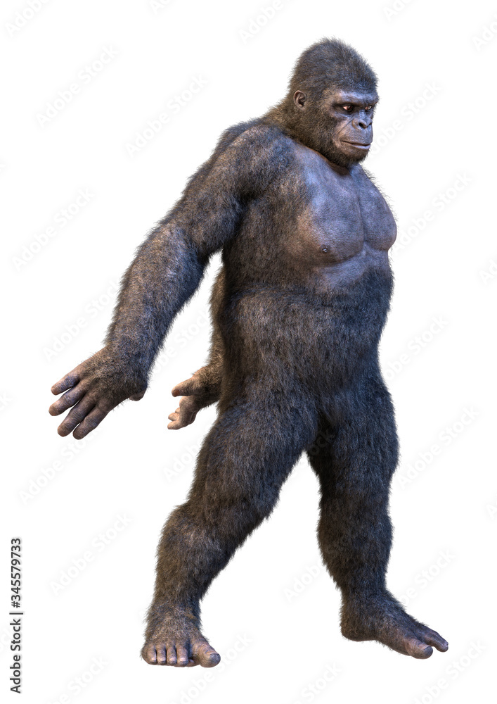 3D Rendering Gorilla Ape on White 3D Rendering Gorilla Ape on White