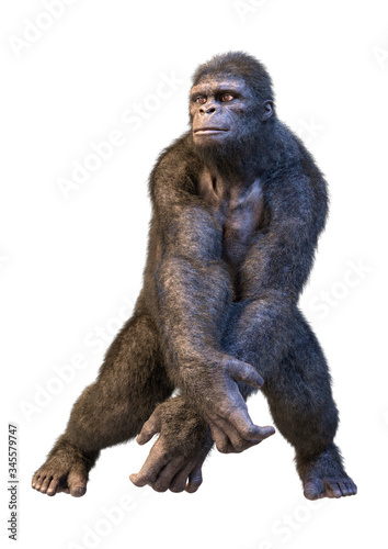 3D Rendering Gorilla Ape on White