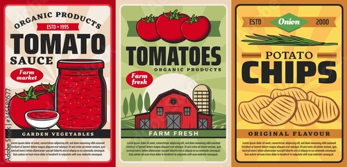 Tomato sauce ketchup and potato chips, farm food products vector retro vintage posters. Organic farming agriculture, garden vegetables and bio products from tomatoes and potatoes