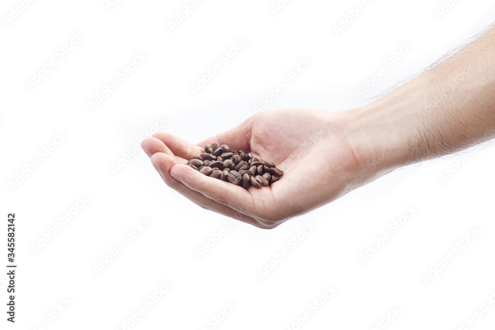 Hand holding roasted coffee beans,isolated in white background Hand holding roasted coffee beans,isolated in white background