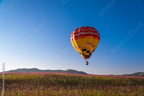 Close up hot air balloon flying up on cosmos field with blue sky background