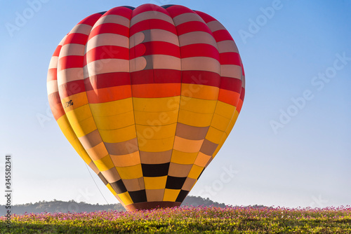 Close up hot air balloon flying up on cosmos field with blue sky background