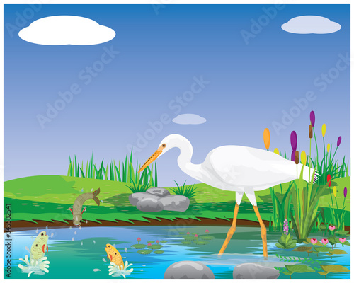 white Heron feed on fish in the swamp vector design
