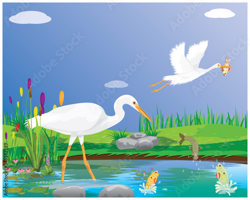 white Heron feed on fish in the swamp vector design