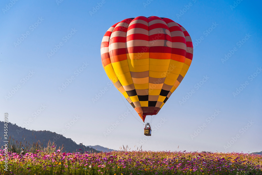 Fototapeta premium Close up hot air balloon flying up on cosmos field with blue sky background