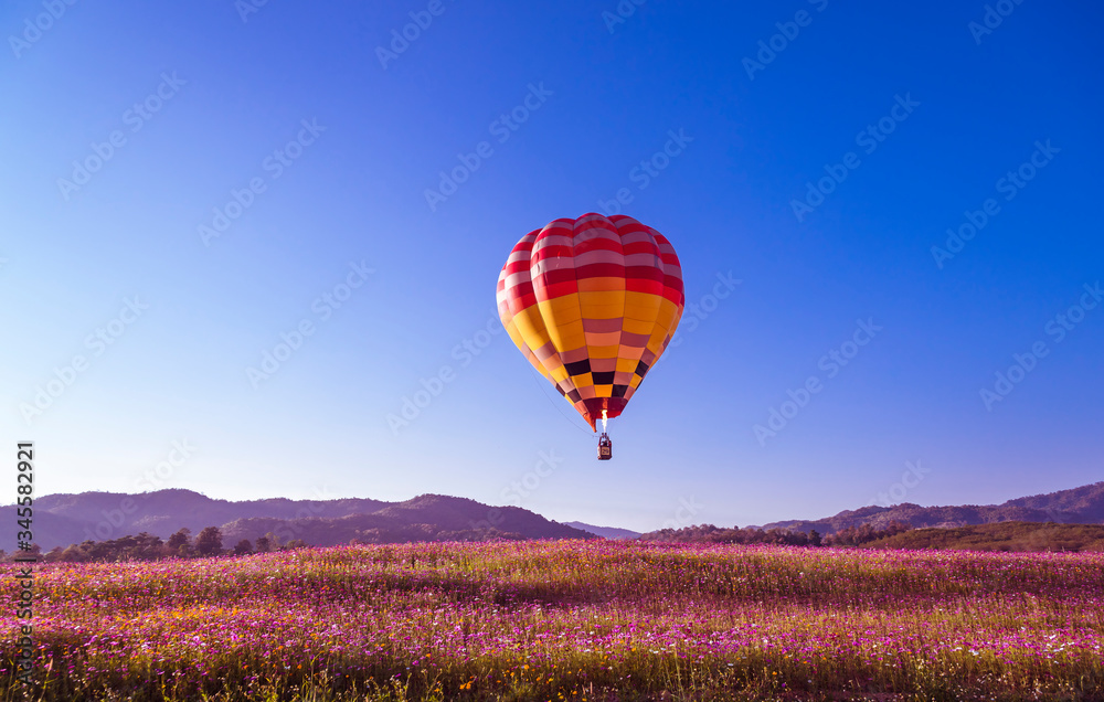 Obraz premium Close up hot air balloon flying up on cosmos field with blue sky background