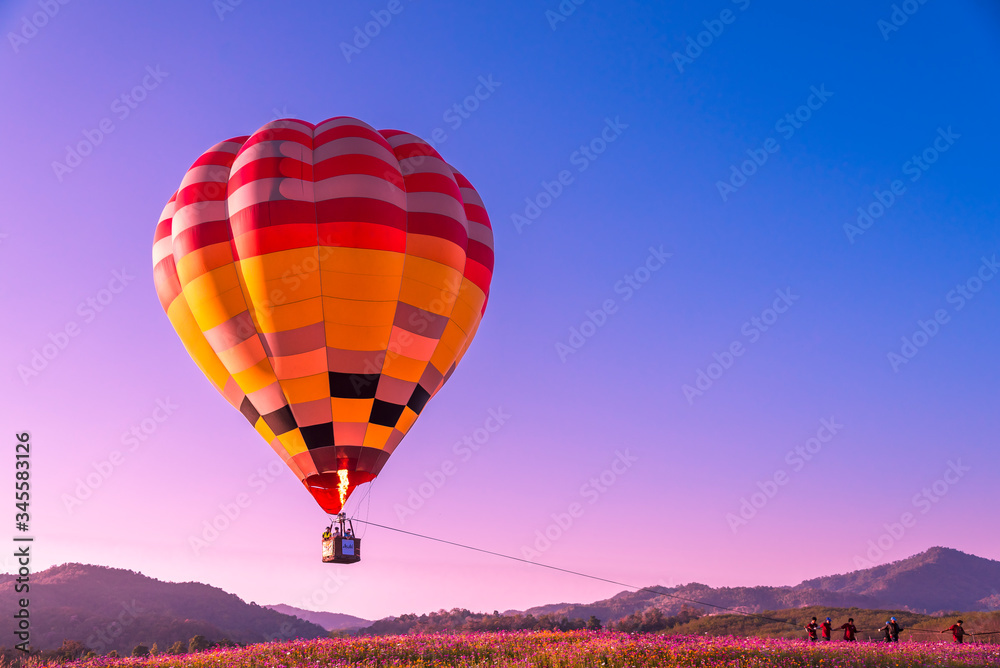 Obraz premium Close up hot air balloon flying up on cosmos field with blue sky background