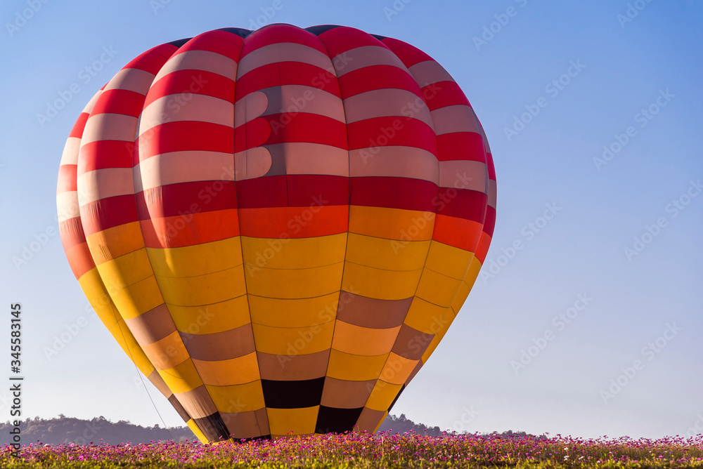 Obraz premium Close up hot air balloon flying up on cosmos field with blue sky background