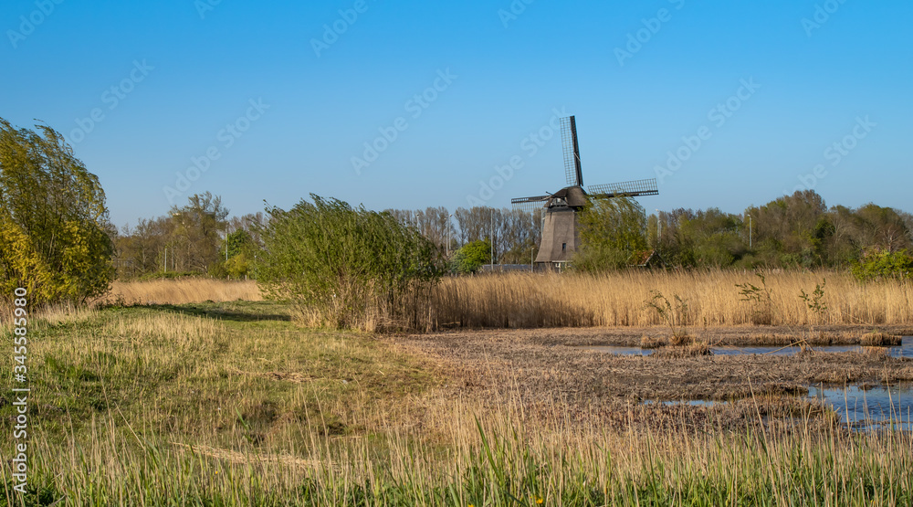 Tradycyjny, holenderski wiatrak nad kanałem wodnym, Alkmaar w Holandii Północnej.
