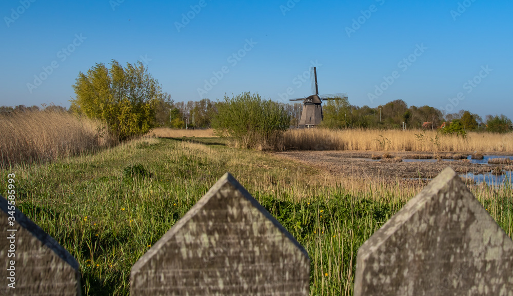 Tradycyjny, holenderski wiatrak nad kanałem wodnym, Alkmaar w Holandii Północnej.