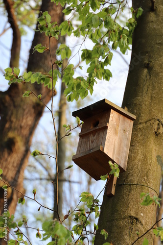 Nistkasten im Wald