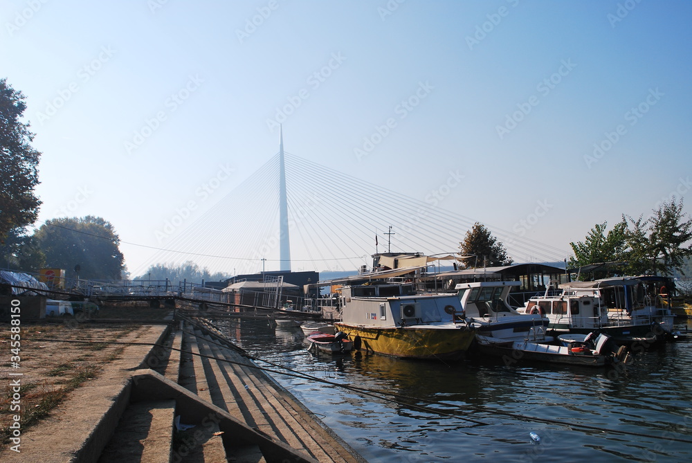 boats in the harbor