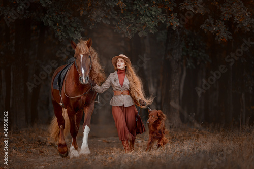 Beautiful long-haired blonde young woman in English style with red draft horse, Irish setter and Weimaraner dogs in autumn forest photo