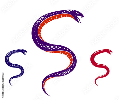 Venomous snake vintage tattoo, vector drawing of aggressive predator reptile, deadly poisoned serpent symbol, vintage style illustration.
