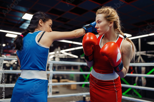 Women in gloves boxing on the ring, box workout © Nomad_Soul