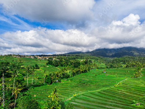 Tourist destination-Bali. Rice terraces and tropical forest in Bali. Aerial view of the Jatiluwih rice terraces.