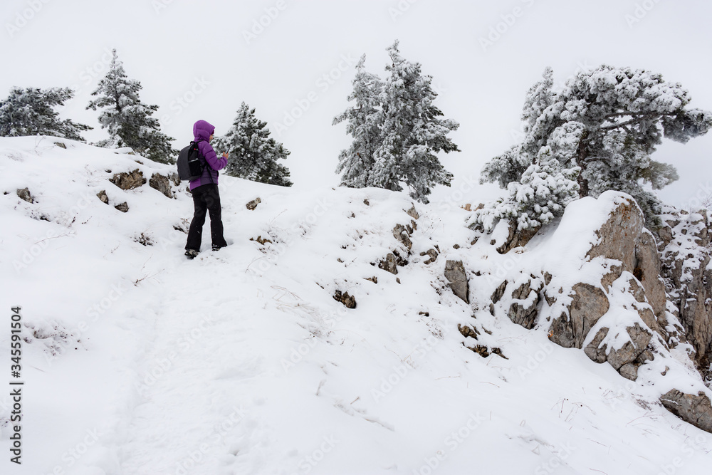 Girl with a backpack in the mountains in winter. Like climbing a mountain. Winter tourism. A girl in a purple jacket with a backpack. Snowy weather with a snowstorm.