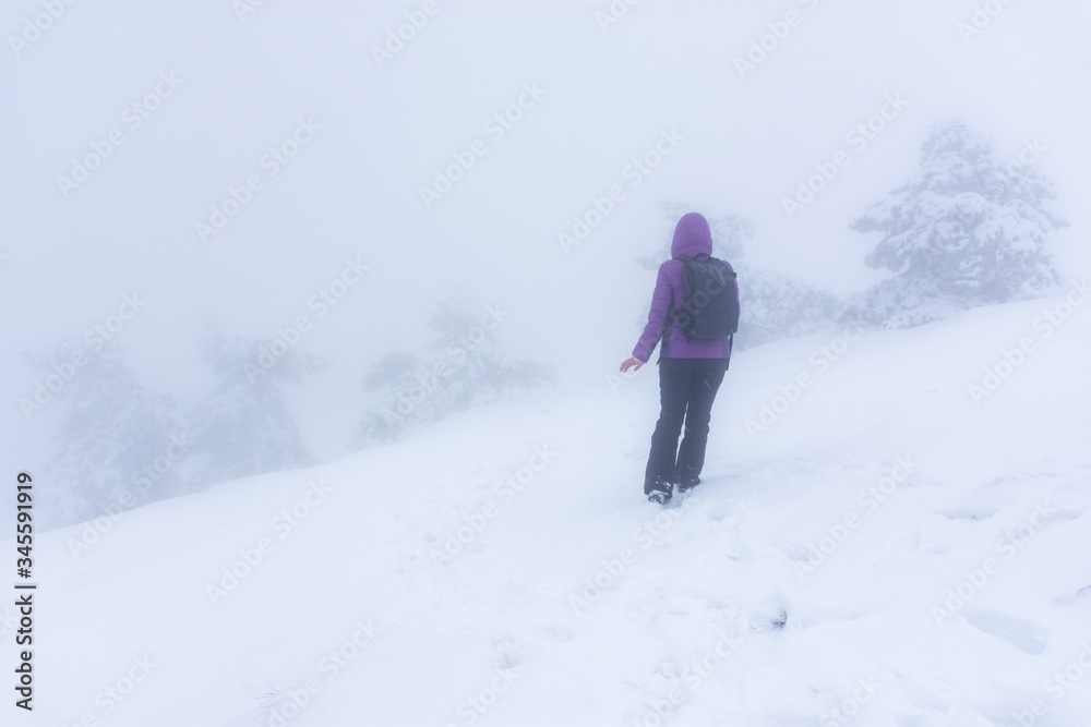 Girl with a backpack in the mountains in winter. Like climbing a mountain. Winter tourism. A girl in a purple jacket with a backpack. Snowy weather with a snowstorm.