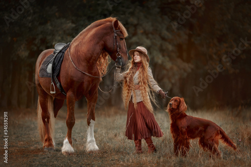 Photography Beautiful long-haired blonde young woman in English style with red draft horse,