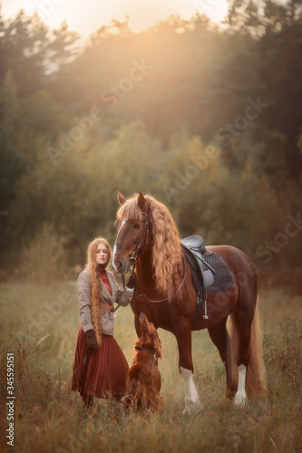 Beautiful long-haired blonde young woman in English style with red draft horse, Irish setter and Weimaraner dogs in autumn forest