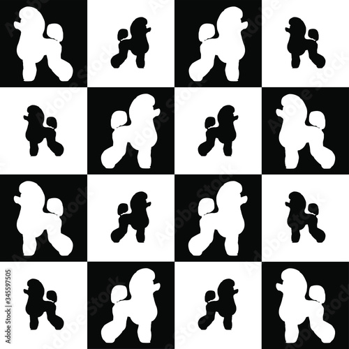 dog breed poodle on black and white squares and cells . it seems like chess board. all objects are isolated and you can move they. Dog breed vector black silhouette. 