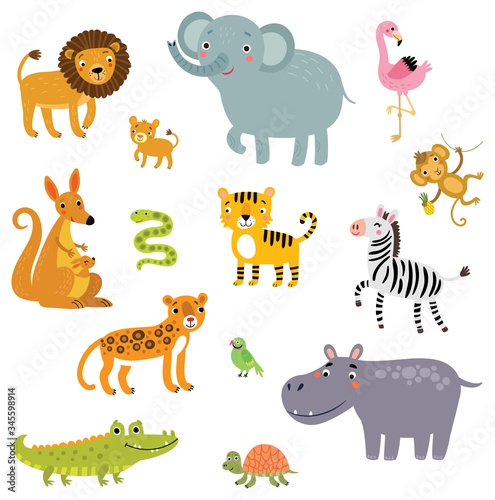 Set of exotic animals vector illustration.