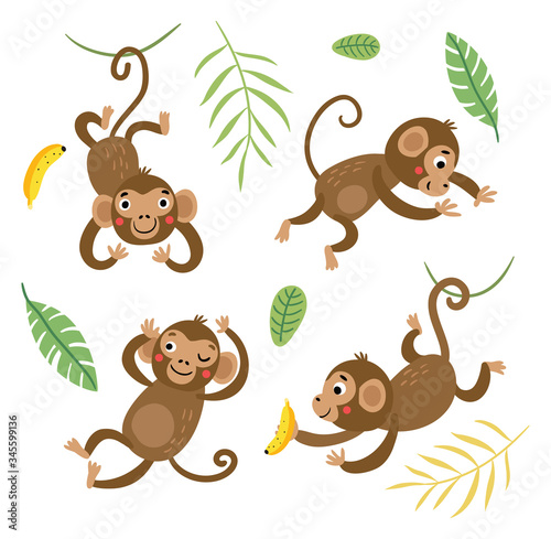 Fototapeta Naklejka Na Ścianę i Meble -  
Cute and funny monkeys. Set of vector characters.