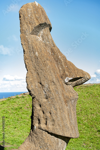 Rano Raraku, Easter Island, the quarry of the Moai. photo