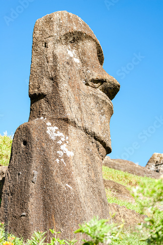 Rano Raraku, Easter Island, the quarry of the Moai. photo
