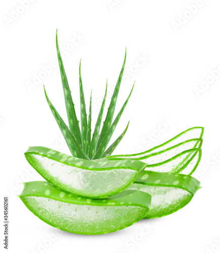 Aloe vera slice on white background.