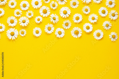 Summer flat lay. Hello summer. White chamomile daisy flowers on yellow background. Copy space.