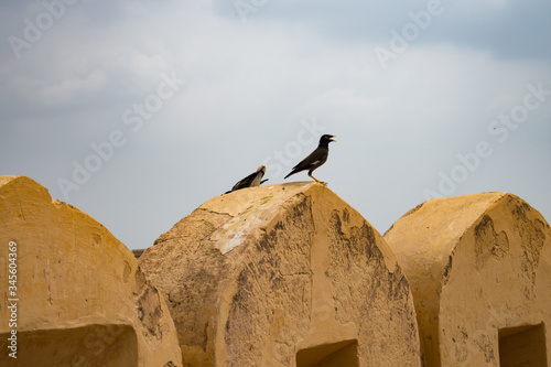 The Amer Garh Fort of Jaipur Rajasthan India