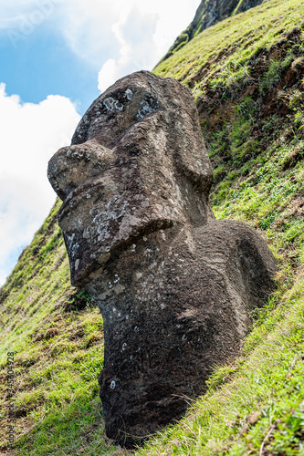 Rano Raraku, Easter Island, the quarry of the Moai. photo