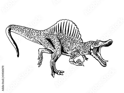 Graphical sketch of spinosaurus isolated on white background , vector illustration, dinosaur