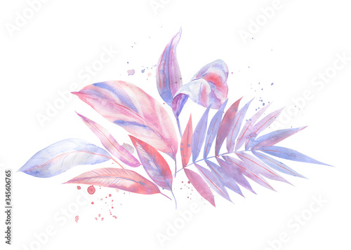 Palm pink and purple leaves, leaves of palm tree, watercolor illustration on isolated white background, greeting card