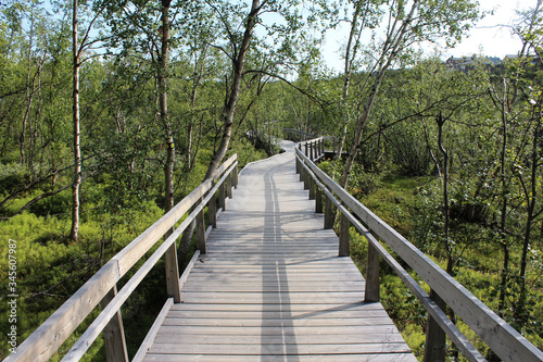 Fototapeta Naklejka Na Ścianę i Meble -  Hikers trail through forest in abisko national park, northern sweden