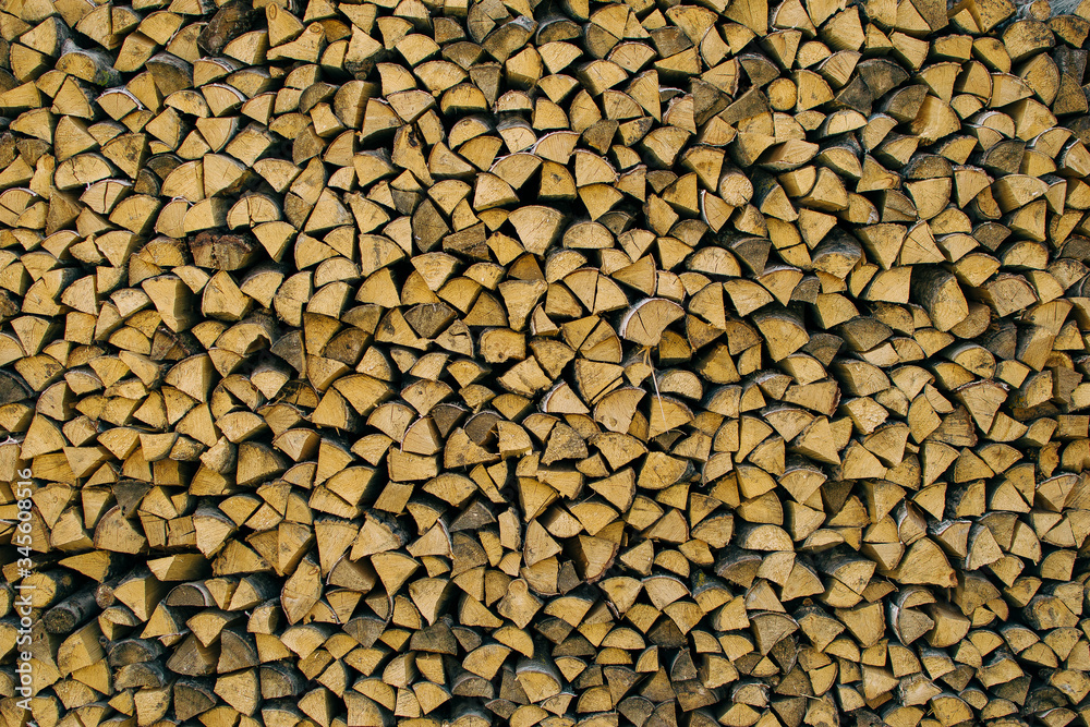 harvesting of wood in the village harvesting of wood in the village