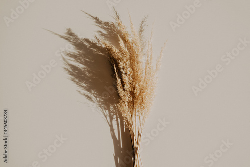 Billede på lærred Beautiful dry reeds bouquet on white table