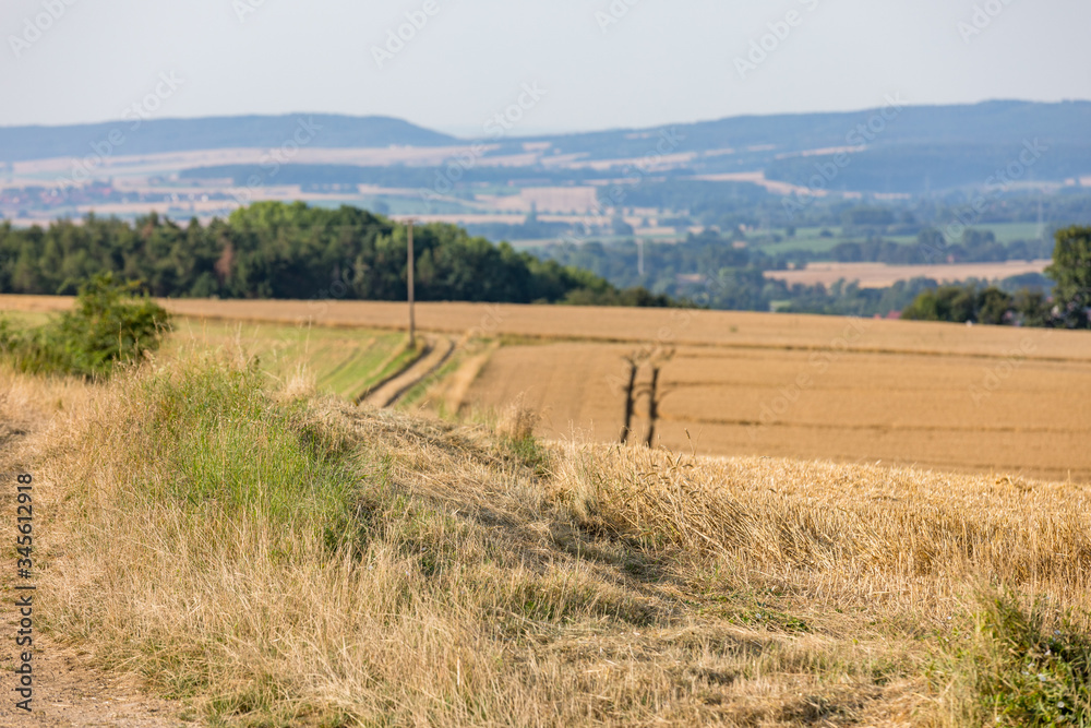Feldweg zwischen zwei Getreidefeldern in Deutschland im Juli Feldweg zwischen zwei Getreidefeldern in Deutschland im Juli