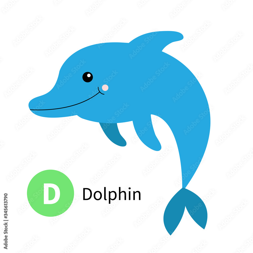Fototapeta premium Letter D. Dolphin. Zoo animal alphabet. English abc with cute cartoon kawaii funny baby animals. Education cards for kids. Isolated. White background. Flat design.