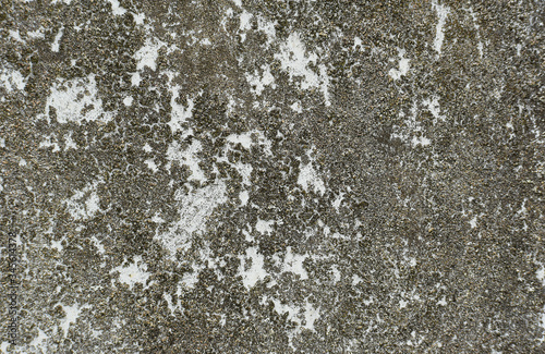 Grunge gray dirty concrete wall, rough primer texture