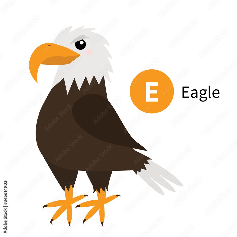 Letter E. Eagle. Zoo animal alphabet. English abc with cute cartoon kawaii  funny baby bird animals. Education cards for kids. Isolated. White  background. Flat design. Stock Vector | Adobe Stock