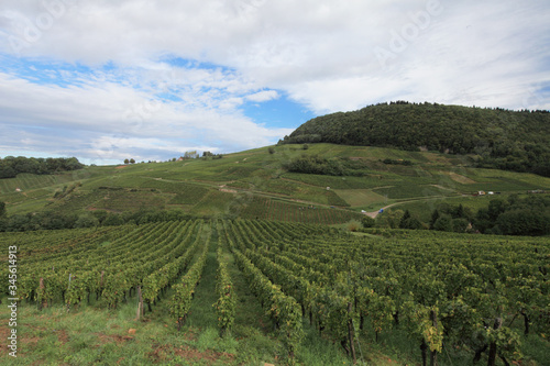 Wallpaper Mural streets and vineyards of Château-Chalon, Jura, Burgundy, France Torontodigital.ca