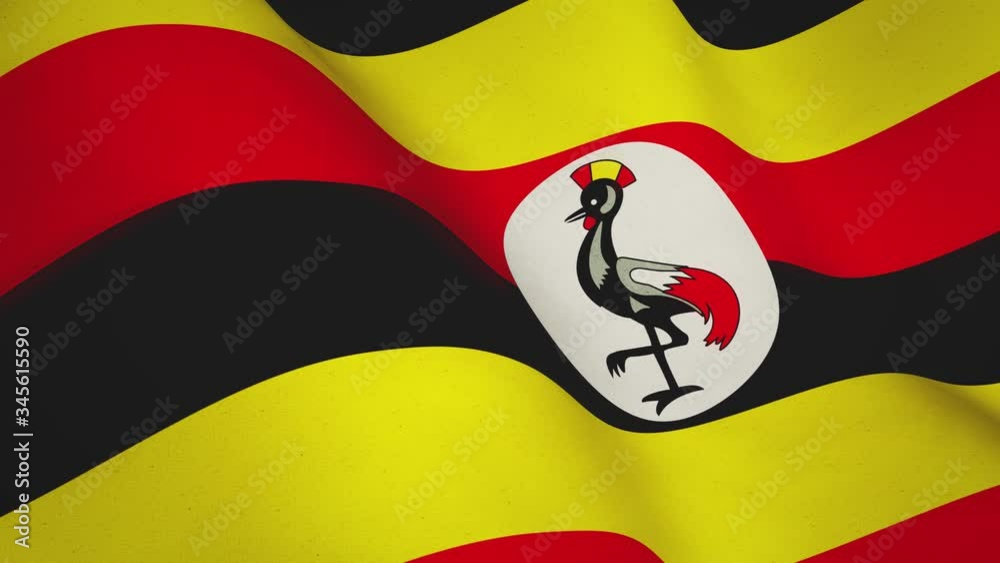 Uganda background flag waving national Patriotism - seamless video loop animation