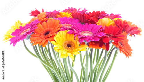 Bouquet of colroful Gerbera flowers