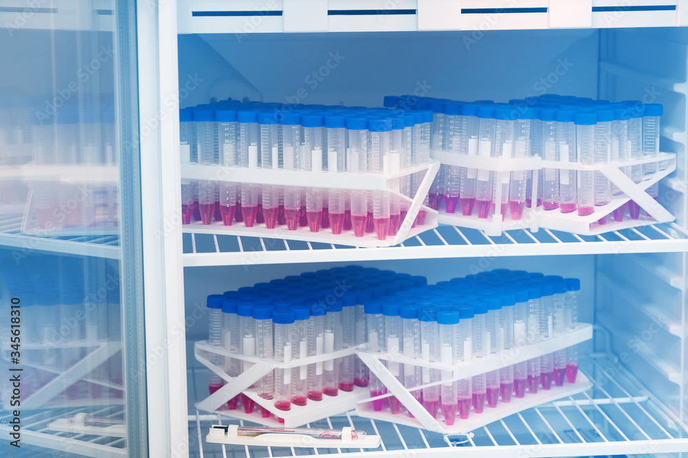 Laboratory refrigerator with transparent flasks with lids with patient analyzes. chemical experiments in the laboratory. coronavirus testing and vaccine development Laboratory refrigerator with transparent flasks with lids with patient analyzes. chemical experiments in the laboratory. coronavirus testing and vaccine development