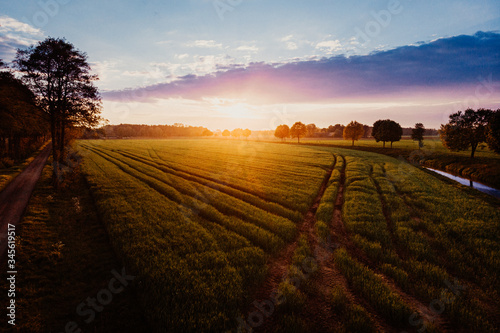 sunrise over the field